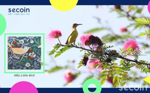 Bộ sưu tập 10 mẫu gạch bông Secoin dành cho bé yêu